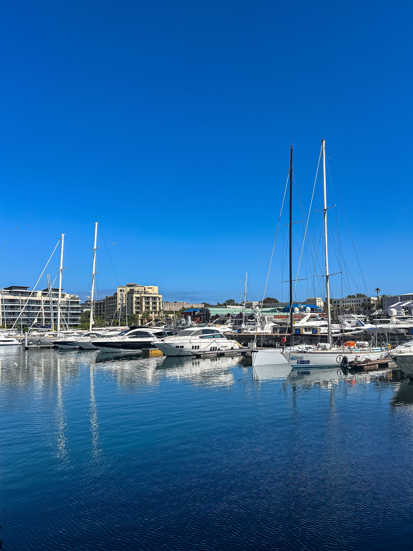 Sailboats and yachts docked in a marina with waterfront buildings
