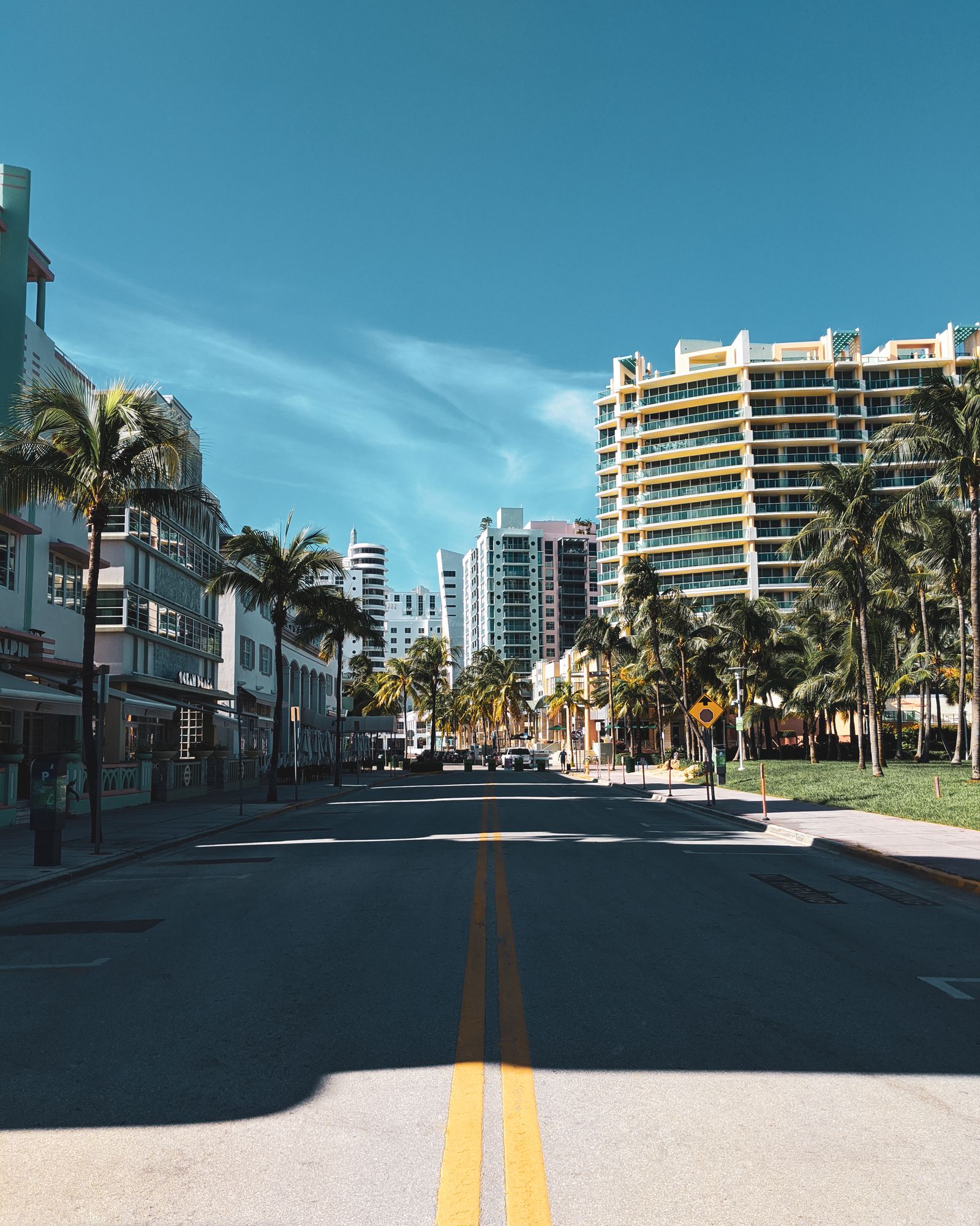 Sunny South Florida street lined with palm trees and low-rise storefronts