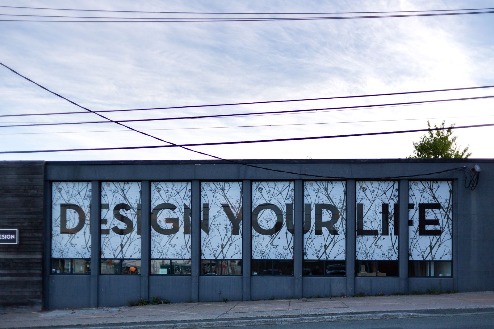 Storefront windows covered in large printed window graphics