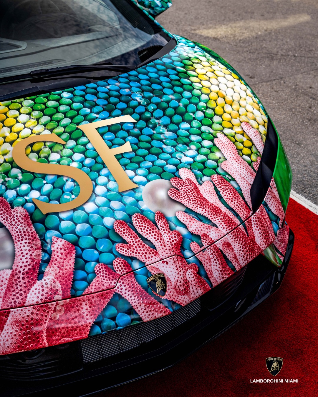 Close-up of the gold SF logo and coral artwork on the hood